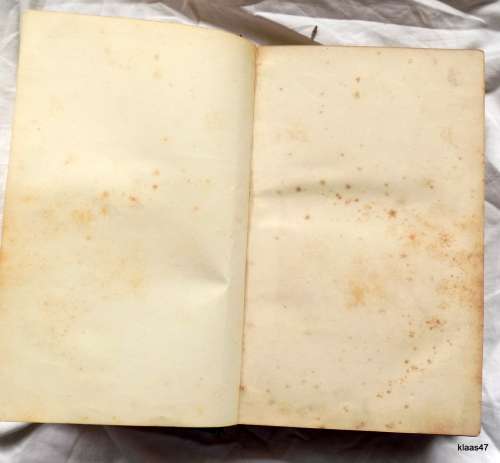 Notre-Dame or The Bellringer of Paris - Victor Hugo - Hardcover
