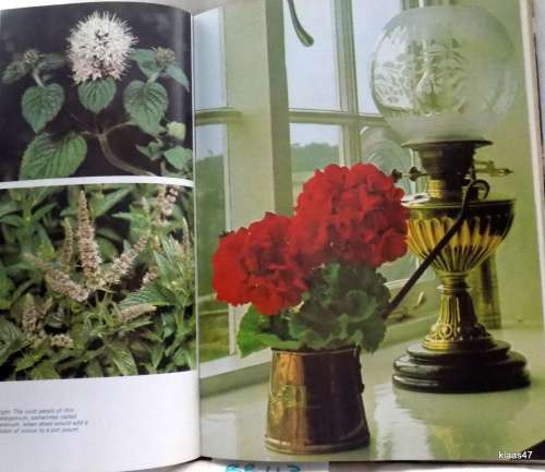 A Modern HERBAL How to grow, cook, and use herbs - Violet Stevenson - Hardcover 1974