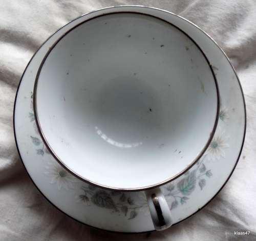 VINTAGE NORITAKE WELLESLEY TEA DUO Comes With A Side Plate That Has A Small Chip