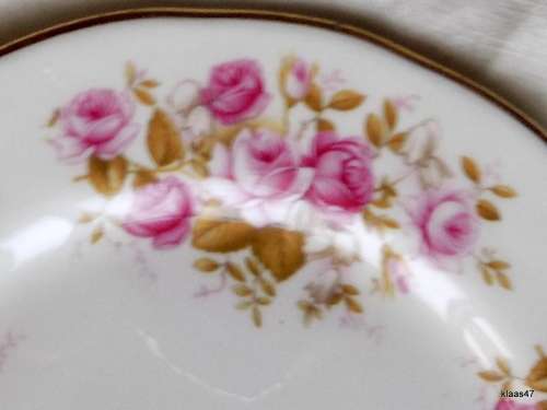 Queen Anne - Rose Garden - Bone China - Side Plate - 16cm Diameter