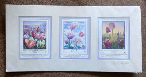 Tulip Trilogy Series 3 Prints Mounted Not Framed Signed L Galen Larson