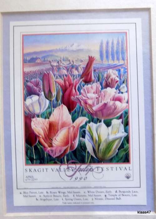 Tulip Trilogy Series 3 Prints Mounted Not Framed Signed L Galen Larson