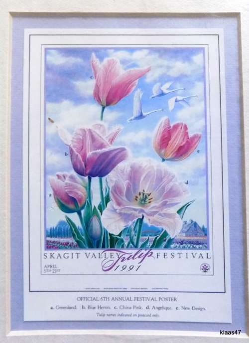 Tulip Trilogy Series 3 Prints Mounted Not Framed Signed L Galen Larson