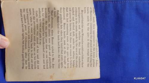 The Petticoat Comando or Boer Women in Secret Service - Johanna Brandt  Hardcover
