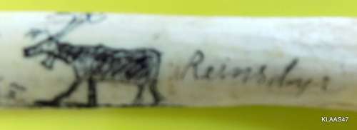 Vintage 1963 Norwegian Scrimshaw Bone Letter Opener Reindeer Nordkapp : Minne fra Samelus:Honnigsvag