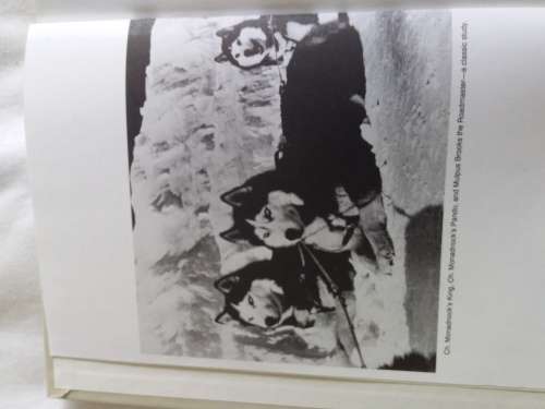 The New Complete: Siberian Husky - Michael Jennings - Hardcover 2nd Edition