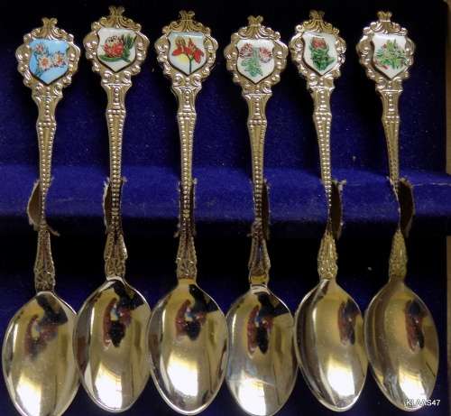Set of 6 South African Flora Tea spoons