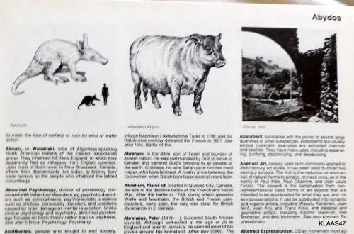 The Hamlyn Illustrated Encyclopedia - Hardcover