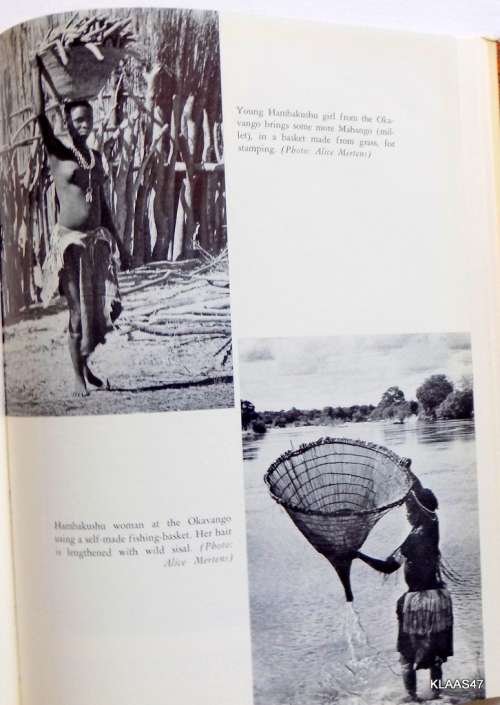 The Ageless Land - Olga Levinson - Hardcover