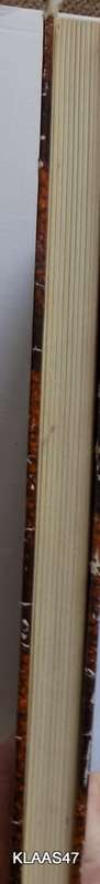 The Ageless Land - Olga Levinson - Hardcover