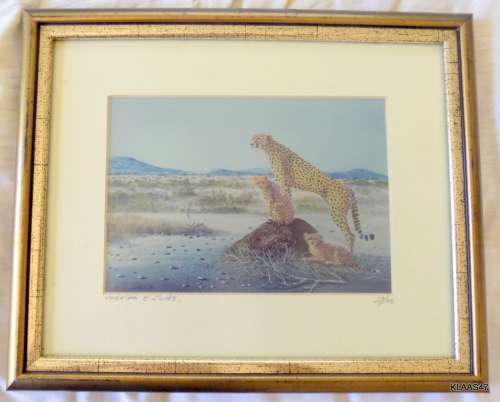 CHEETAH and CUBS : R CURWEN : 57/100 : FRAMED