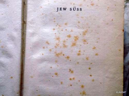 JEW SUSS by Lion Feuchtwanger Hardcover Reprint 1927 (8th Edition)