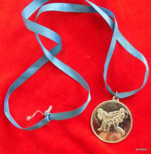 Sport medal - Kick Boxing -  (not inscribed) - On blue ribbon