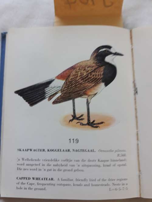 Sommige Beskermde Voels / Some Protected Birds of the Cape Province (small pocket book)