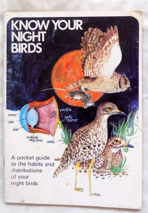 Know you Night Birds  (Caltex Know your Birds Series) A pocket guide (Paperback)