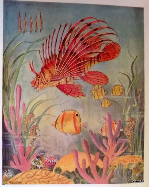 The Sea Fishes of Southern Africa - J L B Smith - Hardcover (Revised Enlarged Edition 1953)