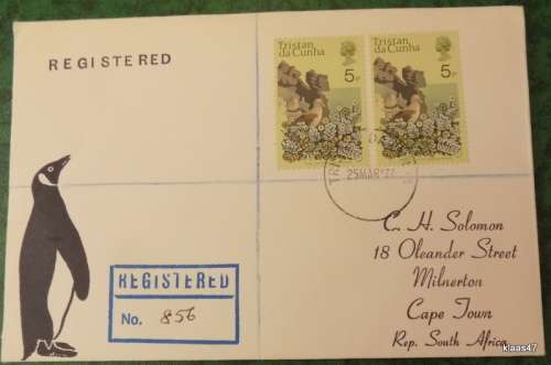 Tristan da Cunha - 1974 - Penguin - Envelope with 2 stamps