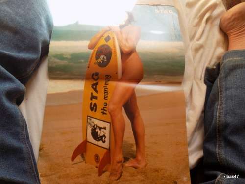 Vintage Stag - Nov 1982 - Note damaged cover and discolored pages