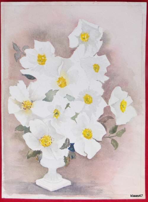 Unframed Unsigned Watercolour of White flowers
