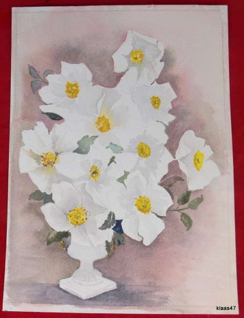 Unframed Unsigned Watercolour of White flowers