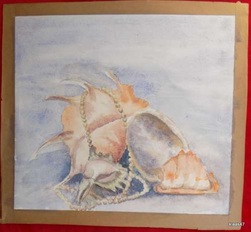 Unframed Unsigned Watercolour of a Shell