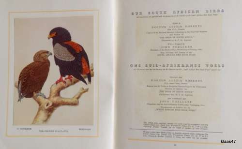 Our South African Birds - United Tobacco Co - Cigarette Card Album