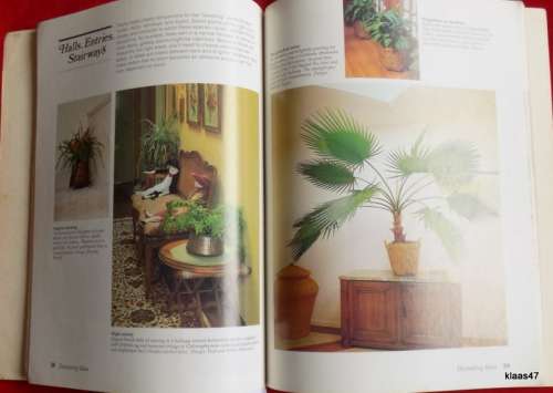 Decorating with Plants: Indoor Display Ideas - A Sunset Book - Paperback