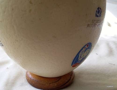 Rugby World Cup 1995 South Africa - Ostrich Egg on Stand - 16cm High