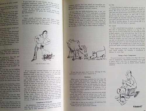 Who wants a dog! - P J Whyte - The Dog-Owner`s Manual