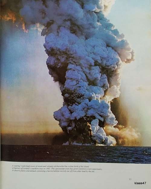 The Amazing World of Nature - A Reader`s Digest Book - Hardcover