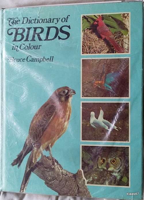 The Dictionary of Birds n Colour - Bruce Campbell - Hardcover