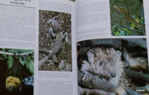 World of Wildlife - Anthony and Jacqueline Nayman - Hardcover