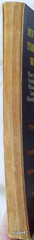A Flock of Ships - Brian Gallison - Paperback