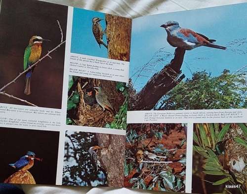 Pride of South Africa - Birds - Kenneth Newman - Purnell 1973