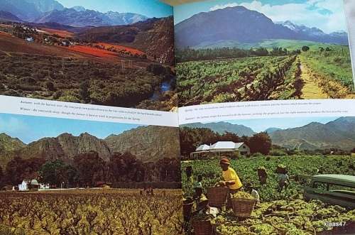 Pride of South Africa - Wine - Anthony Hocking - Purnell 1973