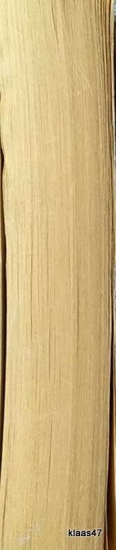 The Blackstone Key - Rose Melikan - Paperback