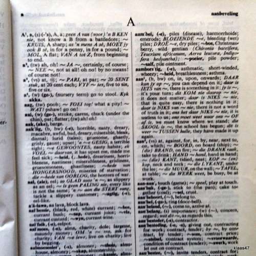 Groot Woordeboek - Kritzinger Steyn Schoonees Cronje - 1972 Elfde Uitgawe Afrikaans/English