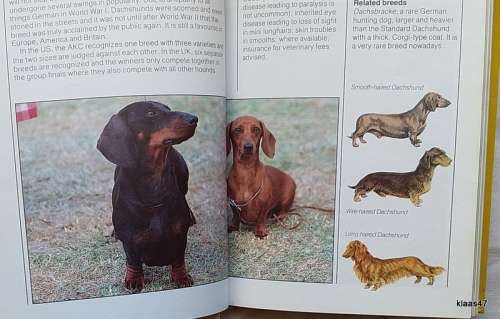 Hamlyn Practical Guide to Dogs - Kay White - Hardcover