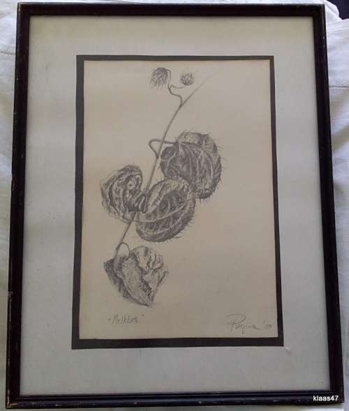 Drawing - Melkbos - Regine `89 - Framed