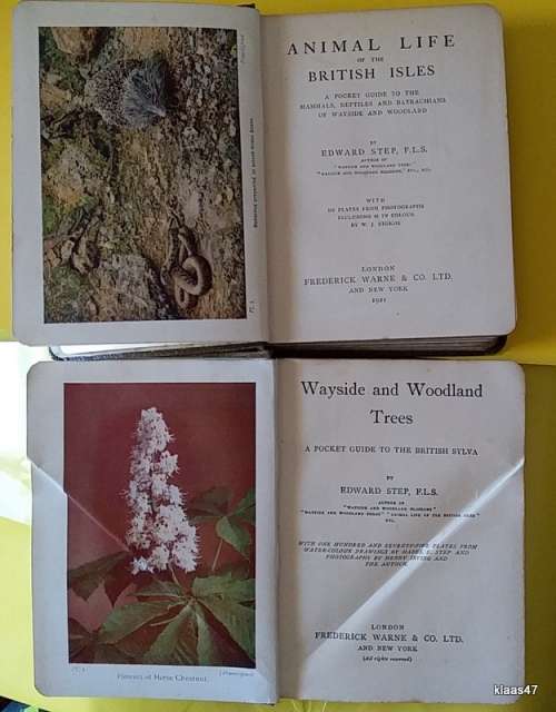 Wayside and Woodland Trees and Animal Life of the British Isles (1921) - Edward Step (2 Books)