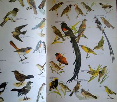 The Sandton Field Book - Edited: Vincent Carruthers - Sandton Nature Conservation Society 1982