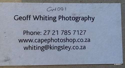 Black and White - Kudu Addo Park - Geoff Whiting Photography Print - On Mounting board