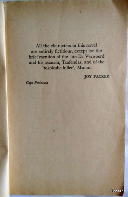 The Blind Spot - Joy Packer - Paperback
