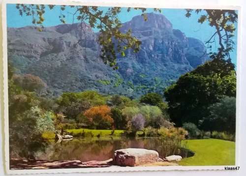 Post Card - 1970`s - Cape Town Kirstenbosch Gardens - Postmark 9 III 77