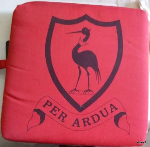 Dale College Motto - Foam Cushion with carry loop - 9 School Motto`s on reverse