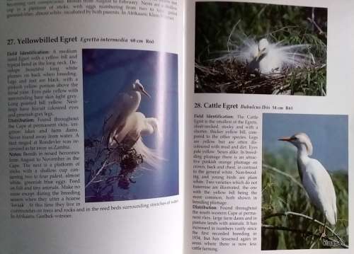 Birds of the South Western Cape - Joy Frandsen - Hardcover 1982