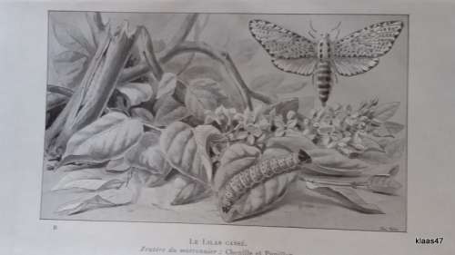 Les Ravageurs - J H Fabre - Hardcover