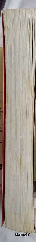 The Attorney - Steve Martini - Paperback