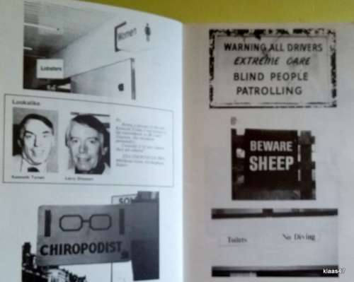 The Eye Spy: Look a Like Book