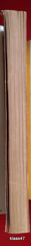 Springbok! - J A Rio-Neuhof - Paperback
